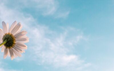 February Energy Update 2021