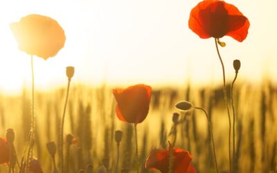 March Energy Update 2021