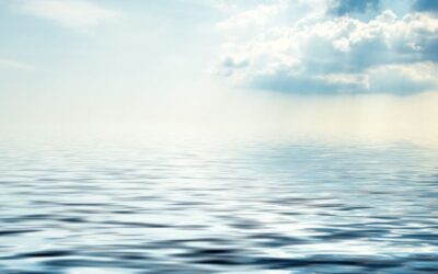 May Energy Update 2021