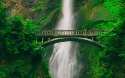 August Energy Update 2021