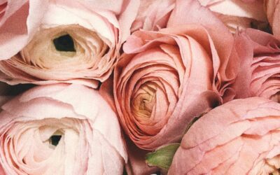 July Energy Update 2021