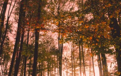 March Energy Update 2022