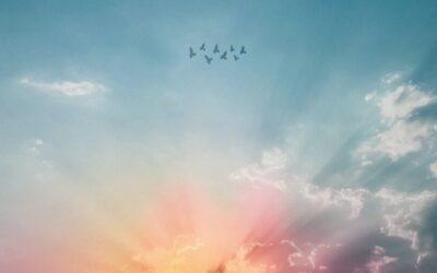 September Energy Update 2025