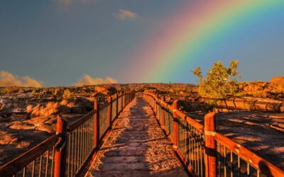 June Energy Update 2022