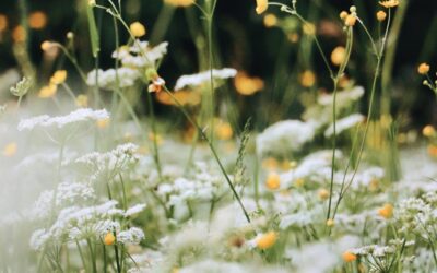 May Energy Update 2022