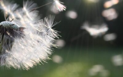 September Energy Update