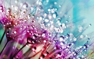 ✨ 2026 Year Ahead Energy Update