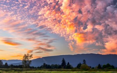 February Energy Update 2023