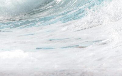 June Energy Update 2023