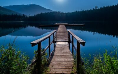 March Energy Update 2023