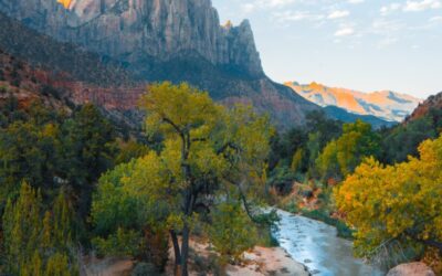 May Energy Update 2023