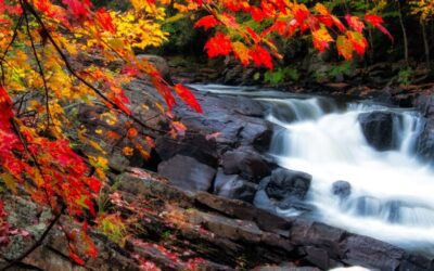 October Energy Update 2023