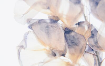 March Energy Update 2026