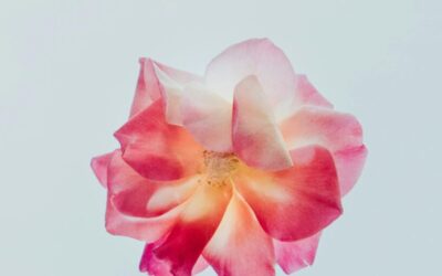 March Energy Update 2024