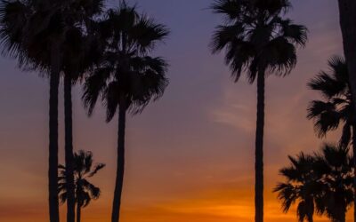 May Energy Update 2024