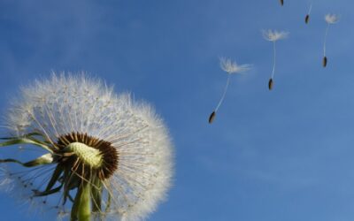 July Energy Update 2024