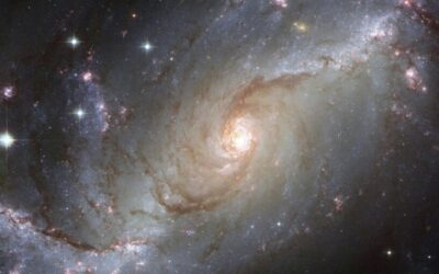 January Energy Update 2025