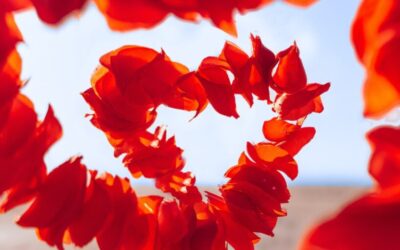 August Energy Update 2025