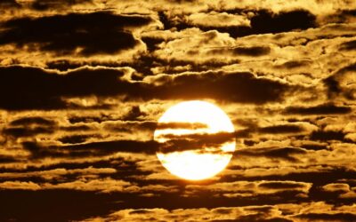 June Energy Update 2025