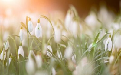 April Energy Update 2025