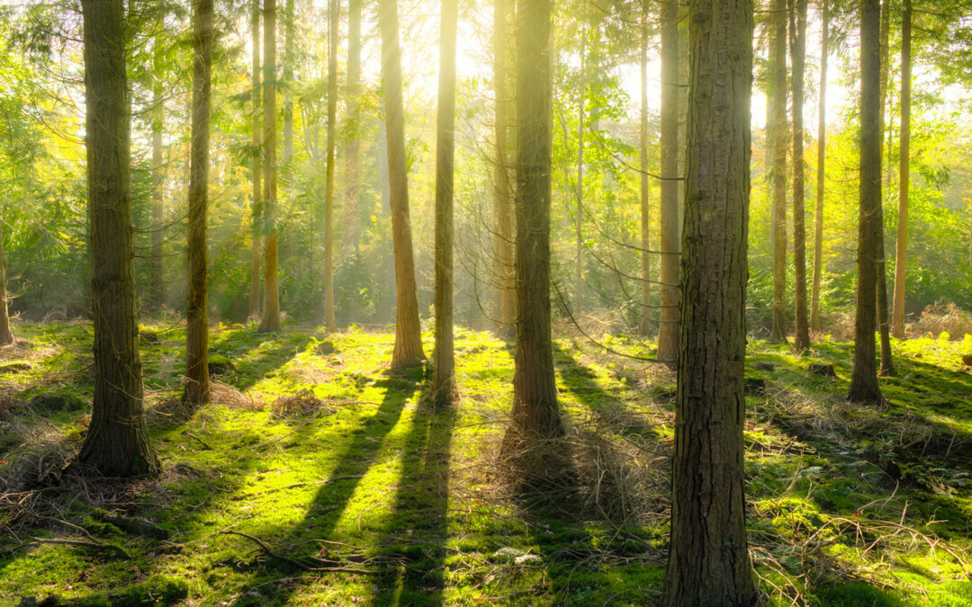 New October Workshops!