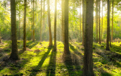 New October Workshops!